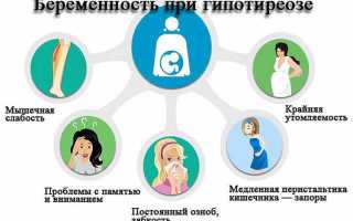 Как щитовидная железа влияет на беременность: нормы гормонов по таблице, как влияет субклинический гипотиреоз на плод