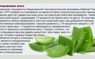 Приготовление лекарства из Алоэ в домашних условиях