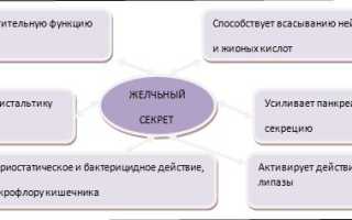 Причины и провоцирующие факторы застоя желчи, способы терапии