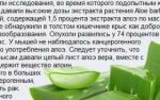 Приготовление лекарства из Алоэ в домашних условиях