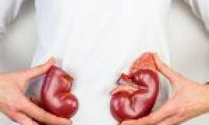 Чем отличительна боль в почках: специфическая симптоматика