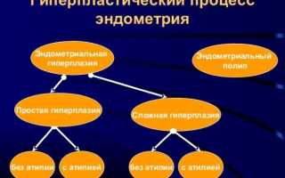 Что такое гиперплазия цилиндрического, железистого эпителия — цервикальный канал
