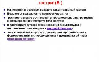 Гастрит и Хеликобактер пилори (Н.pylori). Стратегия лечения. Лекция для врачей.