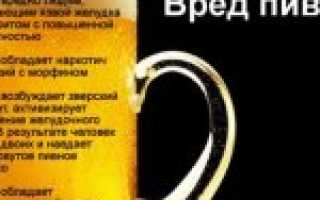 Алкоголь и цистит: совместимы ли эти два понятия?
