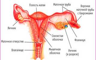 Атрофический гастрит: симптомы и лечение, прогноз для жизни