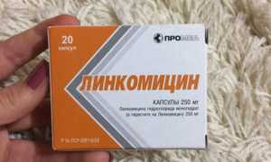 Таблетки «Линкомицин»: инструкция по применению, состав, дозировка и отзывы