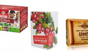 Травяной сбор для почек, фитотерапия почечных заболеваний