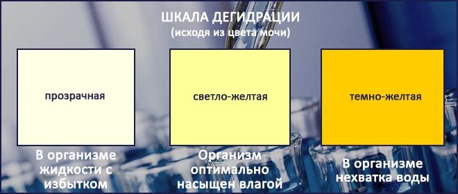Цвет мочи