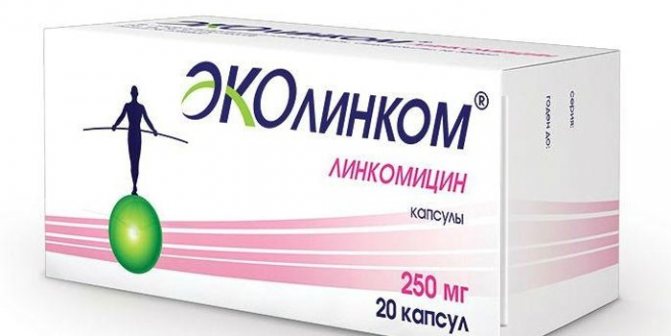 Эколинком в упаковке