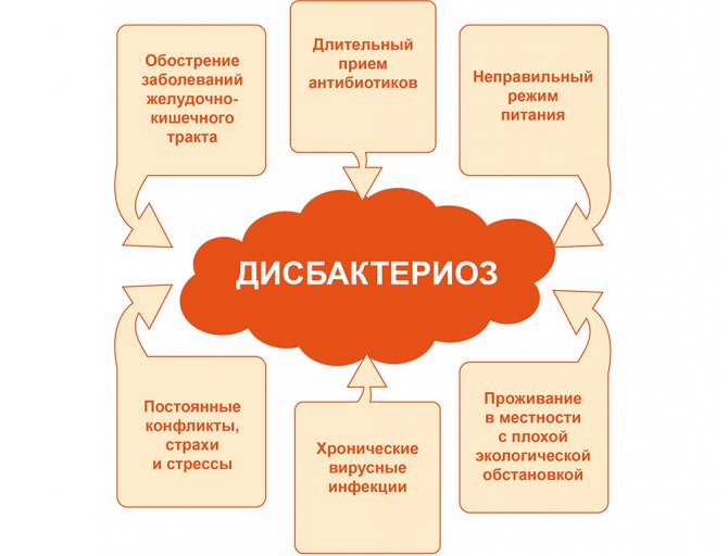 Как лечить дисбактериоз у взрослых