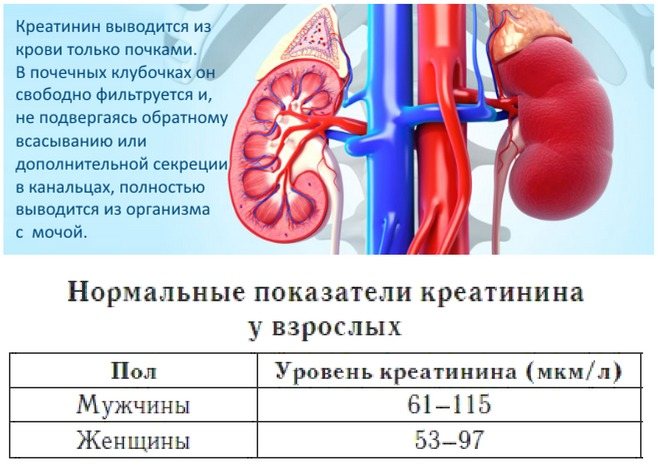 Каптоприл Сандоз - официальная инструкция по применению