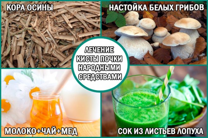 Киста почки: лечение народными средствами