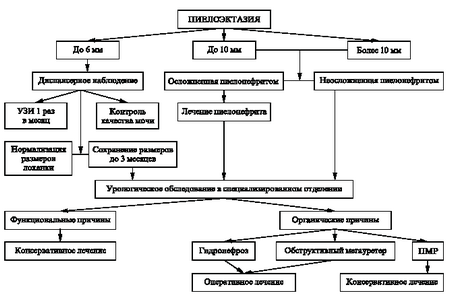 классификация пиелоэктазия почек у плода