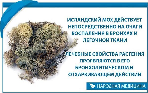 Механизм действия мха