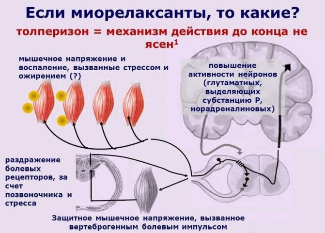 мидокалм аналоги
