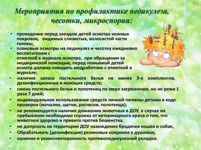 Очень заразно: как лечить микроспорию — разновидность стригущего лишая