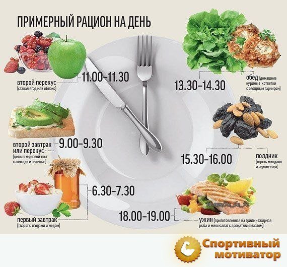 Рацион питания