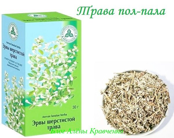 Трава эрва шерстистая в гинекологии