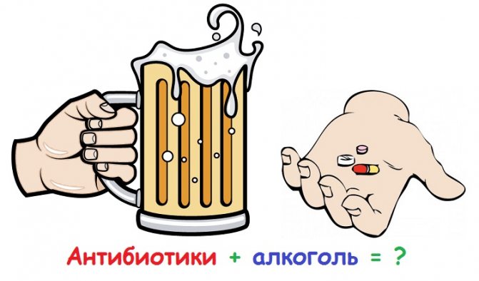 Зиннат и алкоголь совместимость